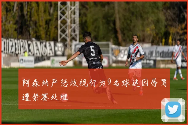 阿森纳严惩歧视行为9名球迷因辱骂遭禁赛处理