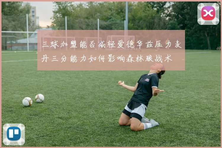 三球加盟能否减轻爱德华兹压力麦丹三分能力如何影响森林狼战术