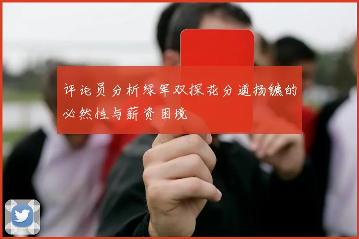 评论员分析绿军双探花分道扬镳的必然性与薪资困境